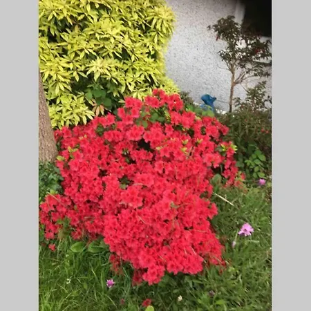 Lovely 3 Bed House Close To Beach!